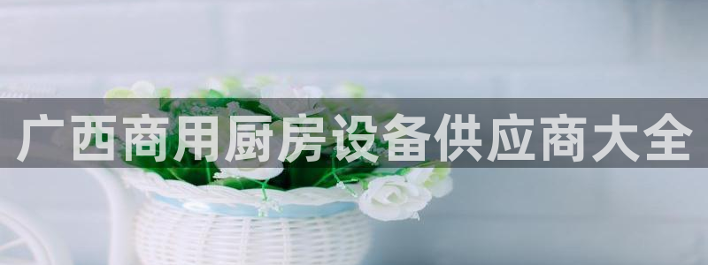 尊龙AG旗舰店：广西商用厨房设备供应商大全