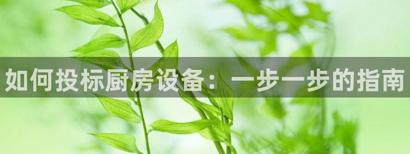 尊龙网站登录：如何投标厨房设备：一步一步的指南