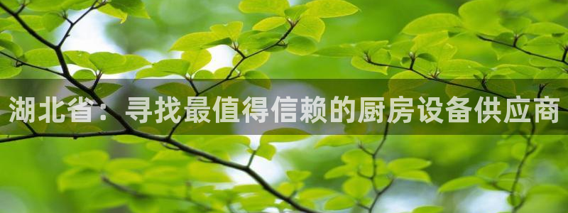 尊龙最新版：湖北省：寻找最值得信赖的厨房设备供应商