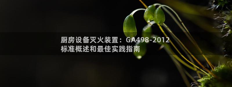 下载尊龙：厨房设备灭火装置：GA498-2012 
标准概述