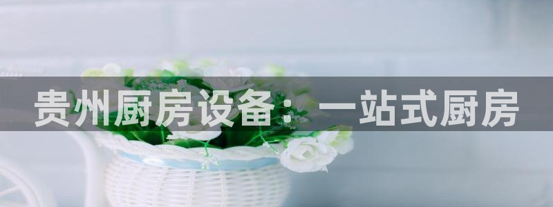 尊龙凯时网站首页手机登录：贵州厨房设备：一站式厨房