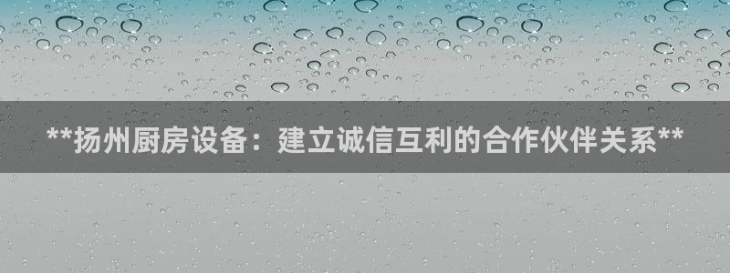 尊龙l1500：**扬州厨房设备：建立诚信互利的合作伙伴关系