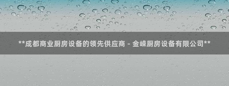 尊龙d88ag旗舰厅：**成都商业厨房设备的领先供应商 - 