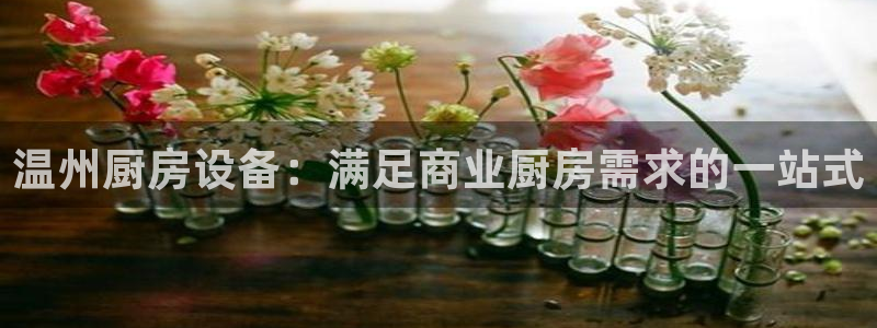 尊龙人生就是博：温州厨房设备：满足商业厨房需求的一站式